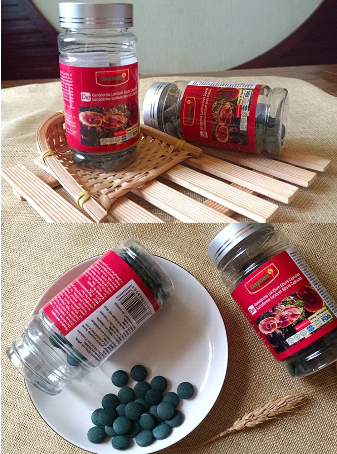 Ganoderma Lucidum Capsule | Dietary Supplement for Immunity, Anti-Aging, Cancer, Blood Sugar, and Depression